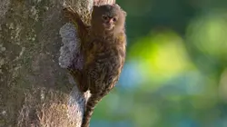 Colombie, la nature retrouvée