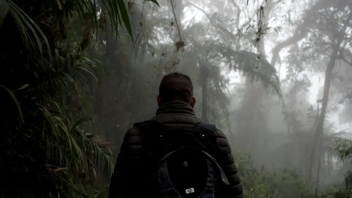 Colombie, la paix confisquée : paroles d'otages