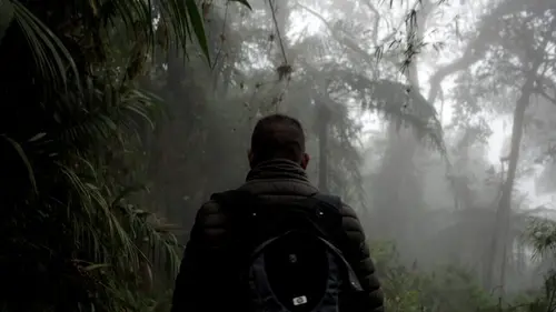 Colombie, la paix confisquée : paroles d'otages