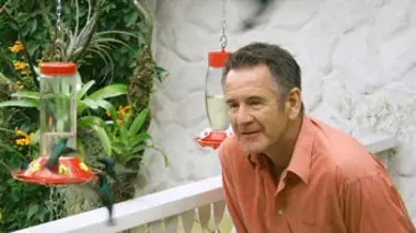 Le paradis des colibris