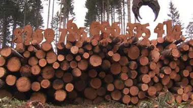 Combien vaut la Terre ?