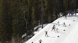 Epreuve de ski de fond (15 km)