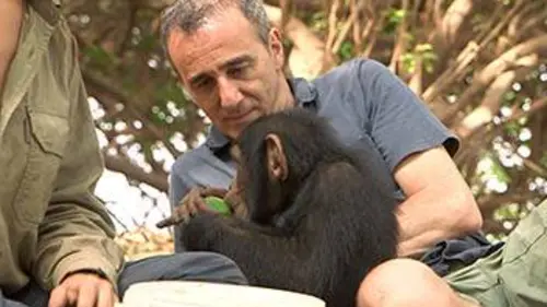 Comme un animal Elie Semoun comme un chimpanzé