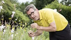 Visuel de Comme une envie de jardins...