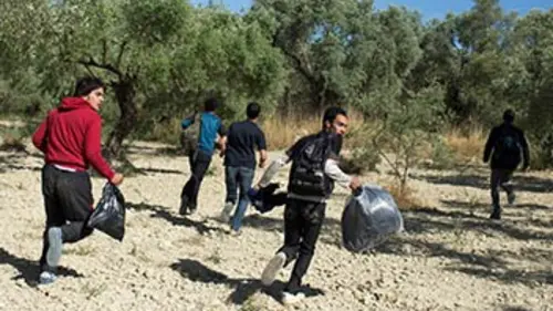 Comme une pluie de parfum