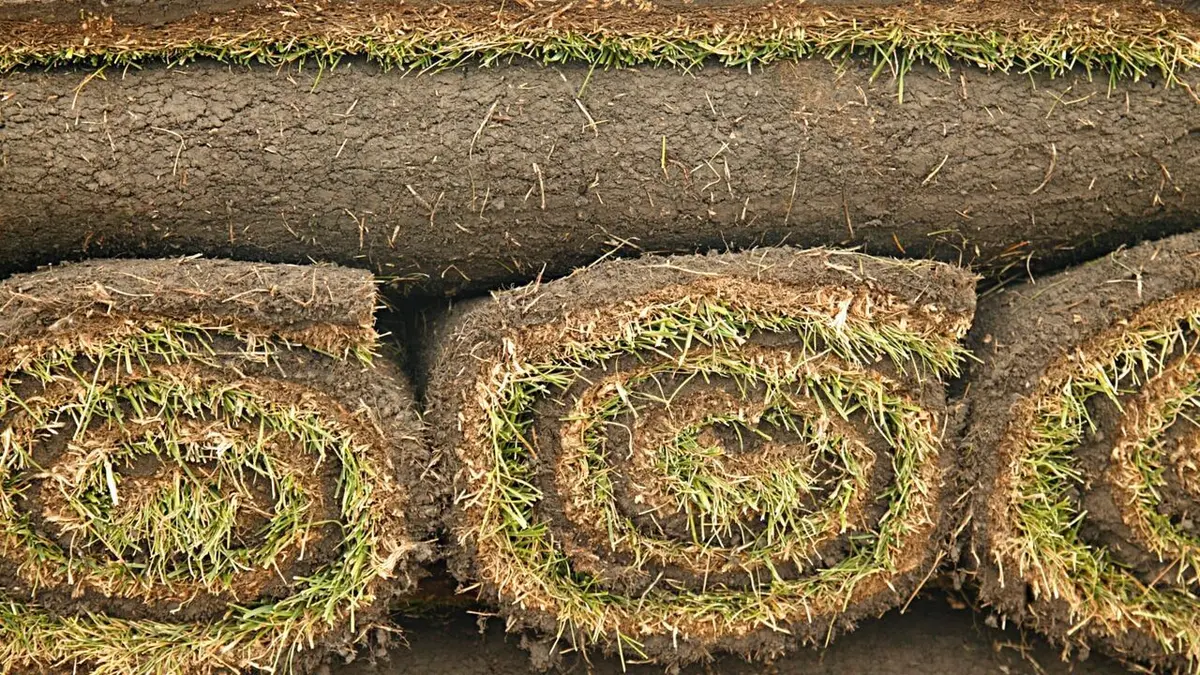 Comment c'est fait Pelouse synthétique / Bœuf séché / Quilles de bowling