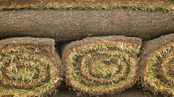 Comment c'est fait Pelouse synthétique / Bœuf séché / Quilles de bowling