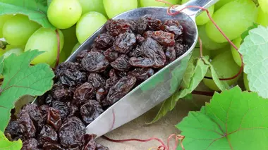 Tambours de guérison / Raisins secs / Stéréoscopes / Microphones à ruban