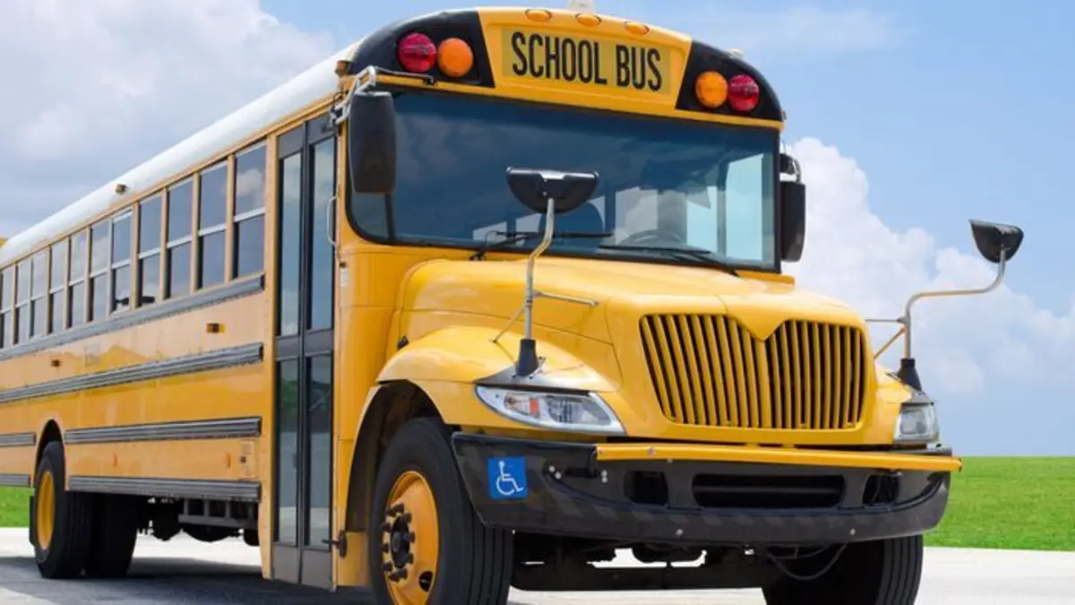Comment c'est fait Chevalets et boîtes à outils / Sorbets démoulables / Bus scolaires