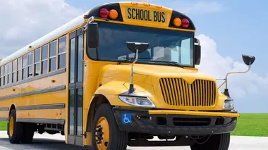 Chevalets et boîtes à outils / Sorbets démoulables / Bus scolaires