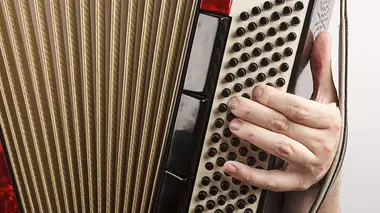 Accordéons/Ananas/Articulations artificielles