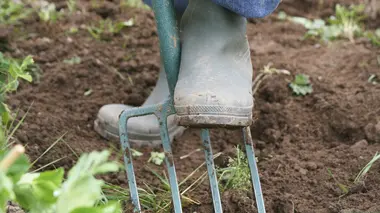 Aimant/jambon cuit/théière en argent/mannequin de crash test