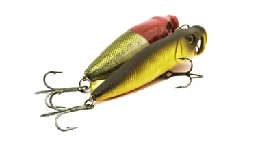 Inox/casque de football/figurine en résine/éprouvette de laboratoire