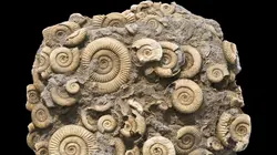 Comment c'est fait Mannequin/hélice de bateau/couette/robinet