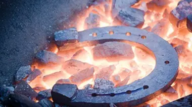 Fers à cheval, lave-vaisselle, pizzas surgelées