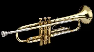 Repas d'avion, gobelet en carton, trompette