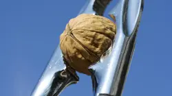 Comment c'est fait Mosquito Coils, Solar-Assist Tricycles, Palm Oil, & Fiberglass Chopper Guns