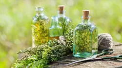 Comment c'est fait Cordes en Boyau / Absinthe / Boucles de Ceinture / Serrures À Levier