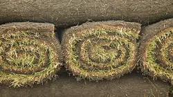 Comment c'est fait Pelouse synthétique / Bœuf séché / Quilles de bowling