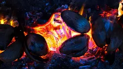 Comment c'est fait Charbon de noix de coco / Indicateurs téléphoniques / Tables aspirantes / Anches de basson