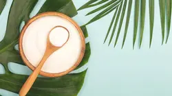 Comment c'est fait S28E11