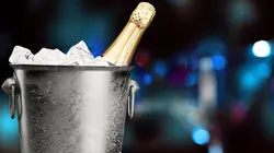 Comment c'est fait Reproductions de squelettes / Seaux à glace