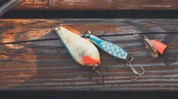 Comment c'est fait Moulinets / Protéines de plasma