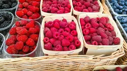 Comment c'est fait Angle Grinders, Berry Baskets, Omnidirectional Speakers