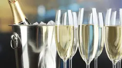 Comment c'est fait Reproductions de squelettes / Seaux à glace