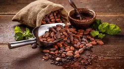 Comment c'est fait Patins de vitesse / Caoutchouc synthétique / Fèves de cacao / Chocolat