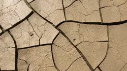 Comment c'est fait Argile / Prunes dénoyautées / Éperons