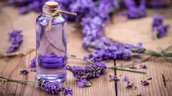 Comment c'est fait Prothèses du genou personnalisées / Ressorts à lames / Essence de lavande / Rivets et outils de rivetage