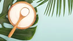 Comment c'est fait S24E24