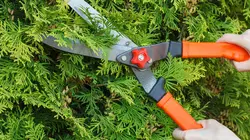 Comment c'est fait Cuit-vapeur / Meubles encastrés