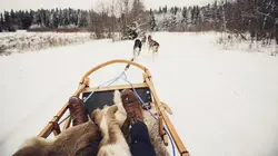 Comment c'est fait Fabrication des grappins, assaisonnements, traîneaux et chaussures d'athlétisme