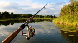 Comment c'est fait Fil de pêche / Mixeurs / Bicarbonate de soude / Dépanneuses