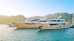 Comment c'est fait Abalone Collagen, Digital-to-Analog Converters, Wood Mouldings, And Plier Staplers