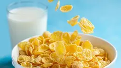 Comment c'est fait Vaisselle / Réservoirs de frein pneumatique / Céréales glacées