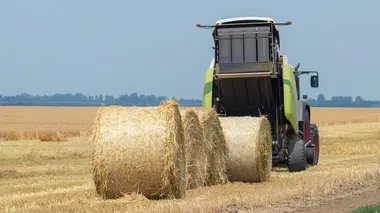 Freins de tyrolienne / Lampes en soie / Machines à foin / Chaussures de confort