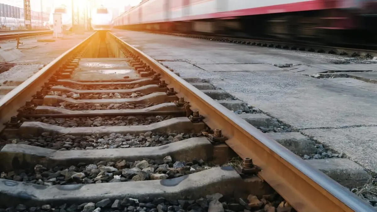 Comment c'est fait Fabrication des rails de train, de l'eau désalinisée, des fauteuils roulants de course et des revêtements en parquet