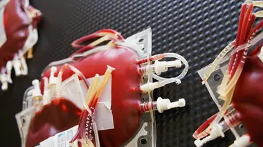 Vélos en fibre de carbone/Chandeliers/Stylos