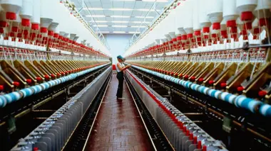 Pièces d'automobile en fibre de carbone