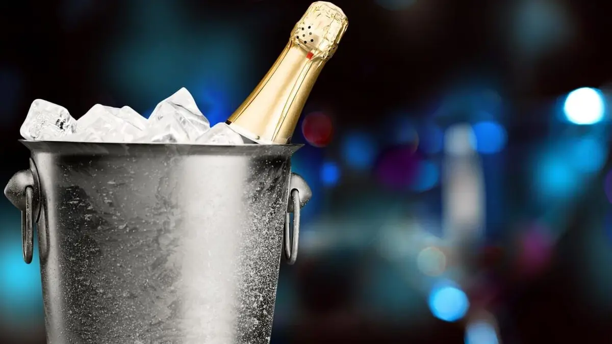 Comment c'est fait Reproductions de squelettes / Seaux à glace