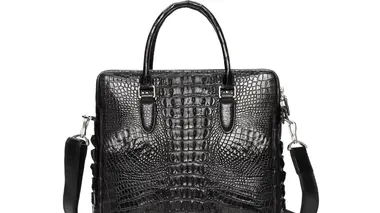 Des sacs en alligator, vestiaires, rabots et enregistreurs de vol