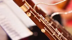 Comment c'est fait Charbon de noix de coco / Indicateurs téléphoniques / Tables aspirantes / Anches de basson