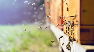 Comment c'est fait Echantillons témoins / Nettoyeurs haute pression