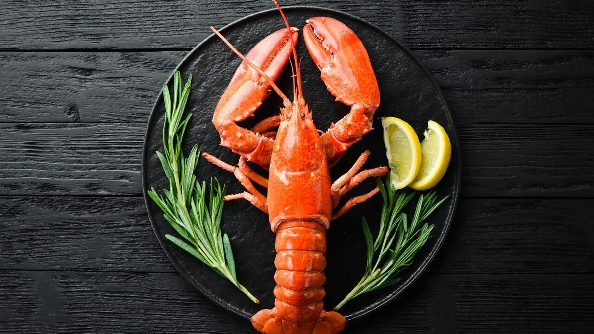 Comment ça marche ? Pêche au homard