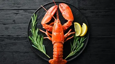 Pêche au homard