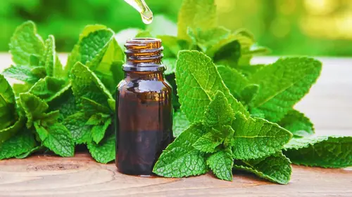 Comment ça marche ? Menthe poivrée, raquettes de tennis