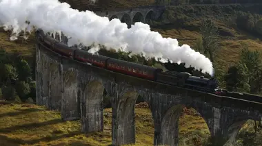 Palourde royale, trains à vapeur